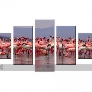 Ed Viisiosainen Seinätaulu Flamingot