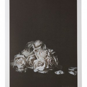 Jotex Faded Roses Juliste Roosa 50x70 Cm
